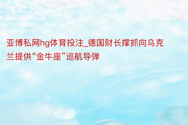 亚博私网hg体育投注_德国财长撑抓向乌克兰提供“金牛座”巡航导弹