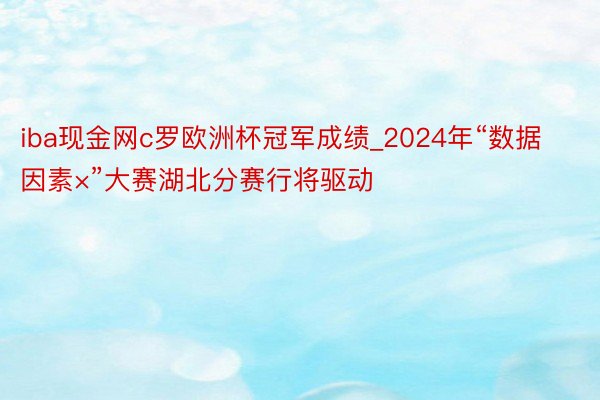 iba现金网c罗欧洲杯冠军成绩_2024年“数据因素×”大赛湖北分赛行将驱动