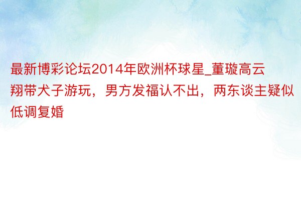 最新博彩论坛2014年欧洲杯球星_董璇高云翔带犬子游玩，男方发福认不出，两东谈主疑似低调复婚